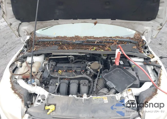 1FADP3F20DL302583: 42332079