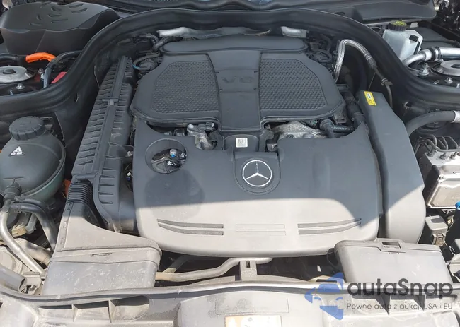 WDDHF9FB5EA809080: 42333511