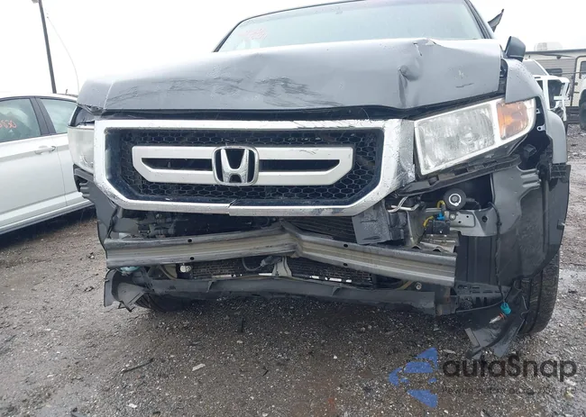 5FPYK1F49BB010244: 42333631