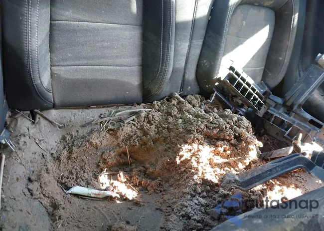 1FA6P8TH7R5122432: 42333007