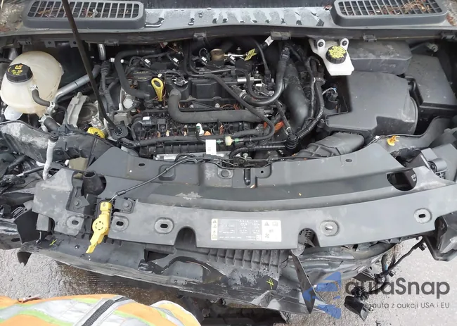 1FMCU9HD2KUA94855: 42335341