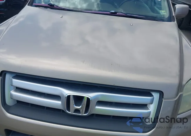 5FNYF18446B006554: 42335503