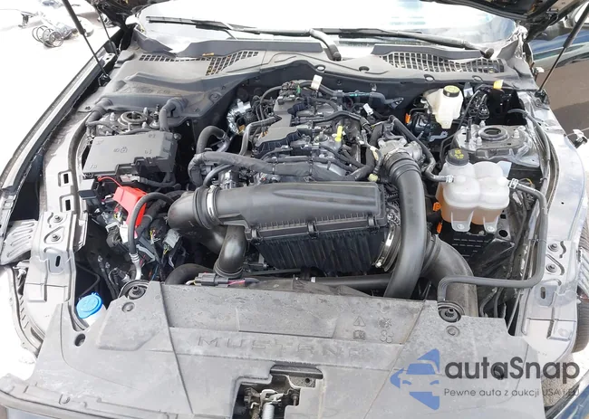 1FA6P8TH3R5138370: 42334912