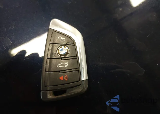 5UX53DP09P9R15217: 42335003