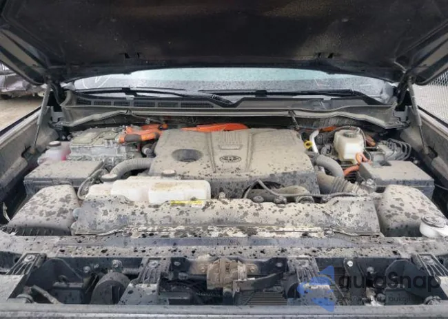 7SVAAABA9PX016508: 42335081