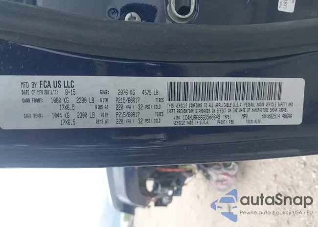 1C4NJRFB6GD500649: 42335103