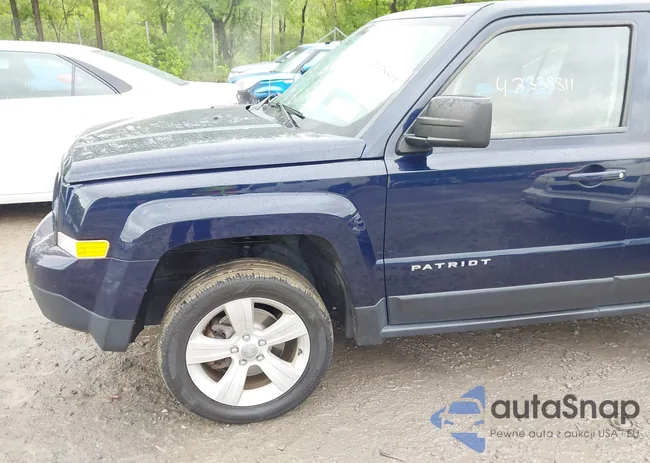 1C4NJRFB3ED661196: 42338511