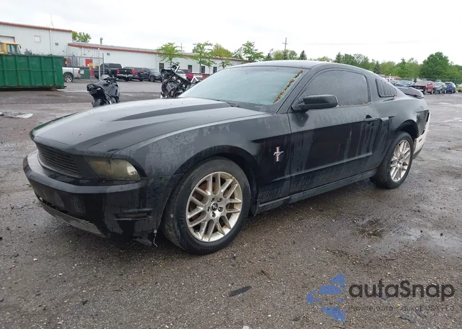 1ZVBP8AM3B5104618: 42337877