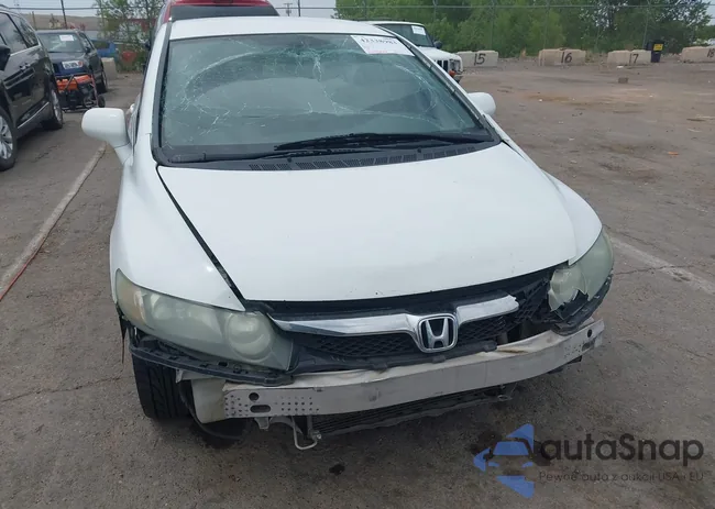 2HGFA1F58BH516896: 42338983