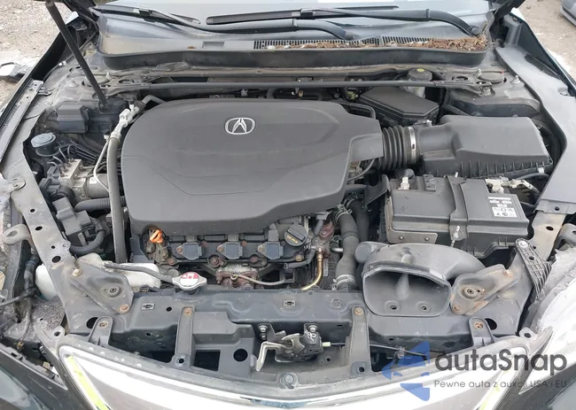 19UUB2F50FA019985: 42340223