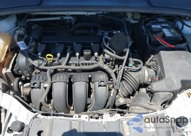 1FADP3F26FL316636: 42340643