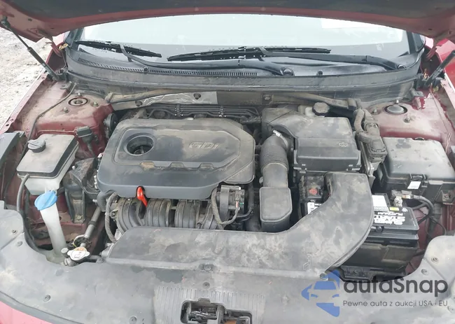 5NPE24AF1FH116135: 42339832