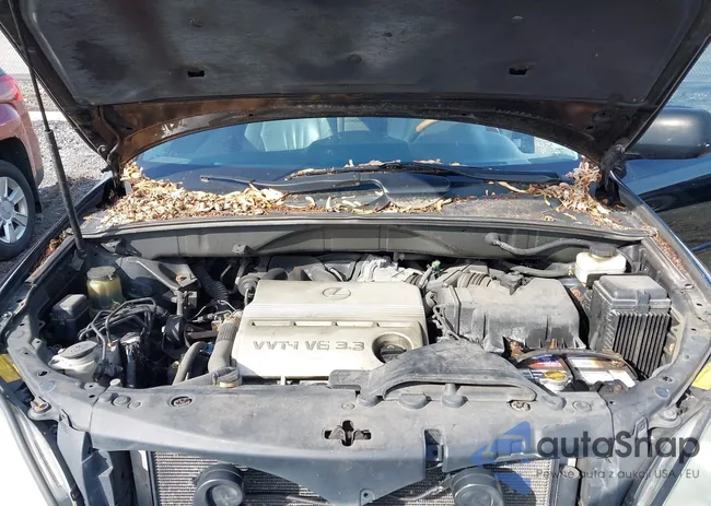 2T2HA31U44C016230: 42341155