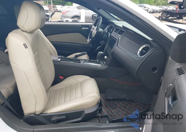 1ZVBP8AM6E5290062: 42341184