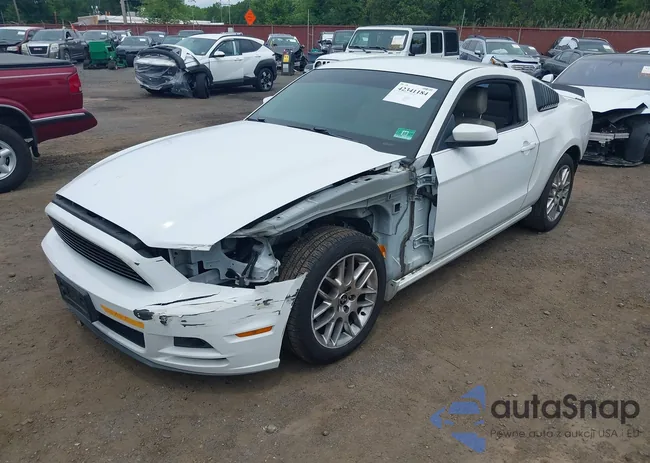 1ZVBP8AM6E5290062: 42341184