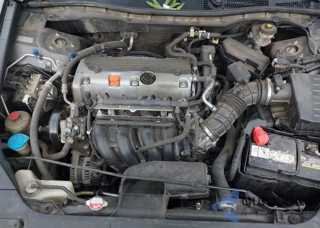 1HGCP2F30CA146419: 42343262