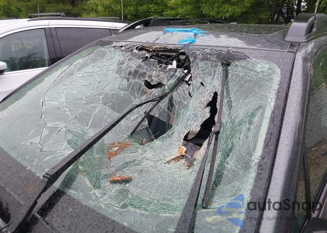 4S4BTALC1R3263584: 42343528