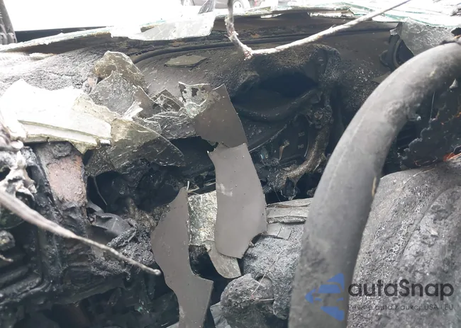 3FMCR9C6XMRA03187: 42343110