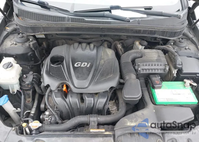 5NPEC4AC3BH229890: 42344362