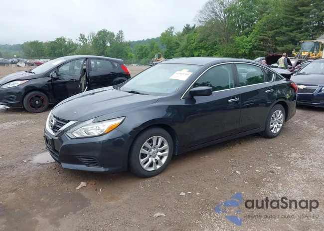 1N4AL3APXGC244889: 42343753