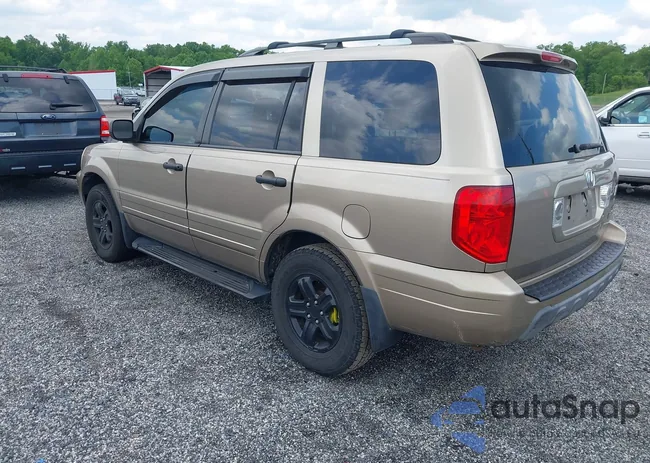 5FNYF18675B014213: 42345259