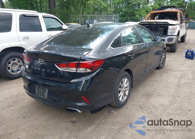 5NPE24AF7JH681563: 42346232