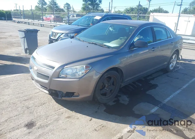 1G1ZA5E08CF324513: 42346079