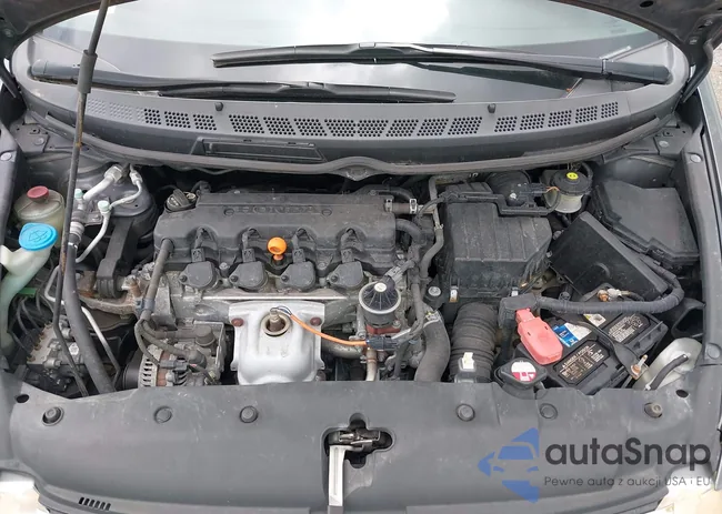 19XFA1F59AE036441: 42346953