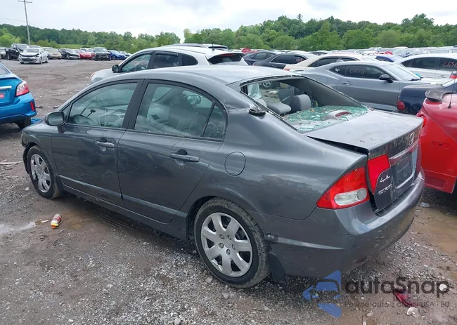 19XFA1F59AE036441: 42346953