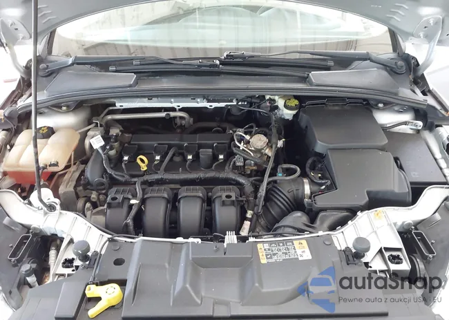 1FADP3F25GL317830: 42348499