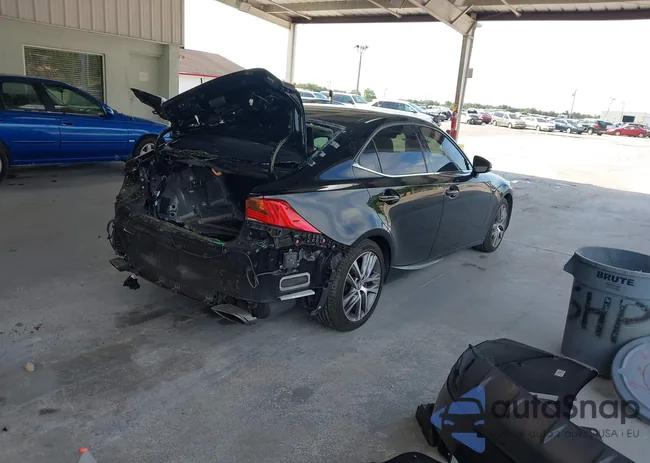 JTHBA1D26K5091299: 42348829