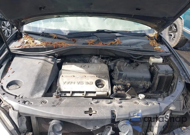 2T2GA31U04C002062: 42350515