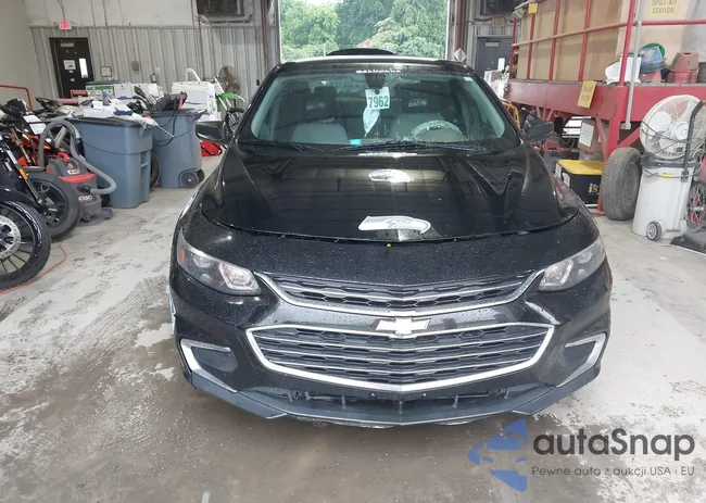 1G1ZC5ST1HF259231: 42351141