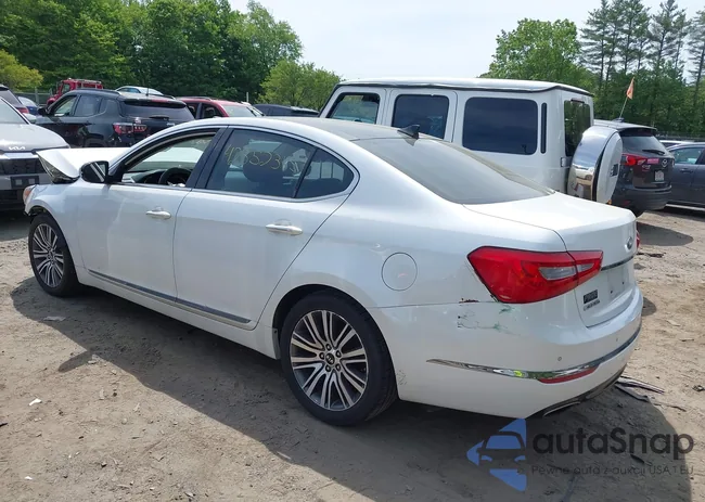 KNALN4D70F5178237: 42352345