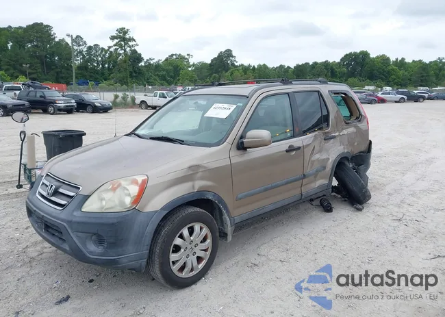 SHSRD78826U430825: 42352848