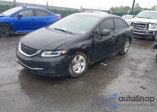 2HGFB2F56DH595233: 42354381