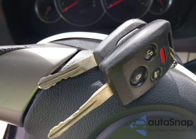 4S4BP61C587304195: 42355134