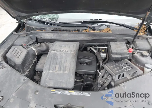 2GNALFEK2D6131377: 42355248