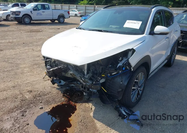 KM8J3CAL3KU018229: 42355672