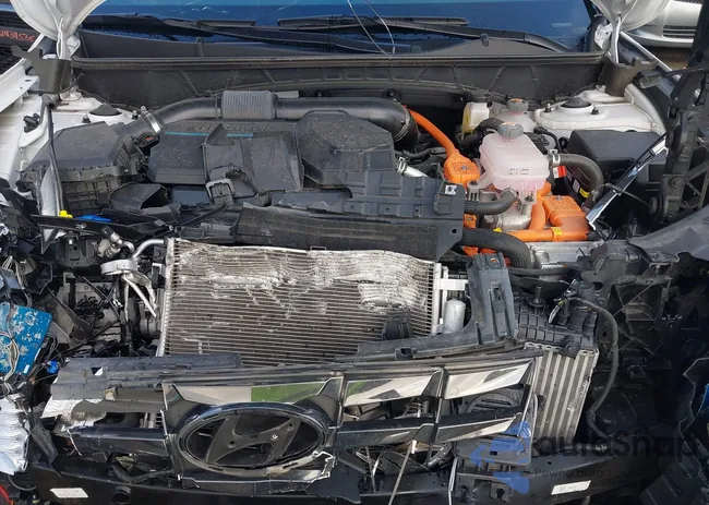 KM8JFCD17RU170929: 42354731