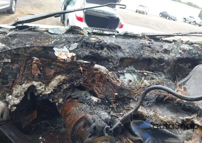 1GCGG25V951236769: 42357911