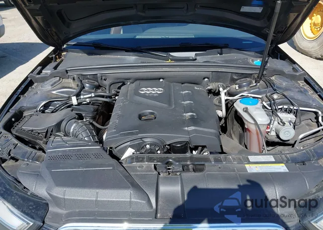 WA1UFBFL5DA145915: 42359346