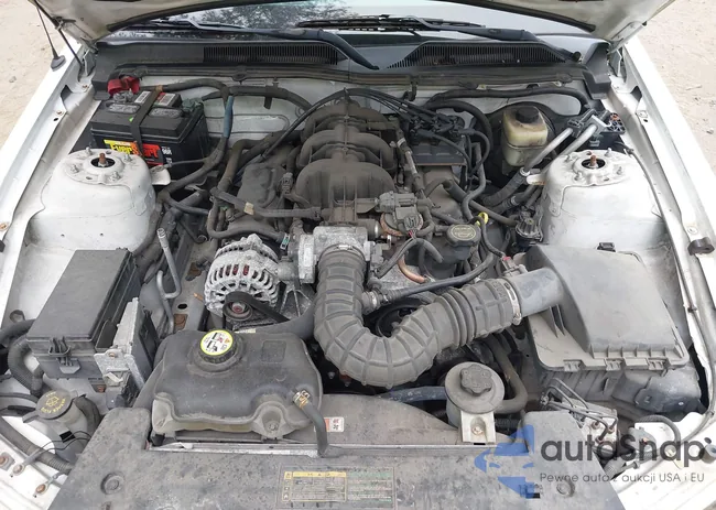 1ZVHT80N185208081: 42360271