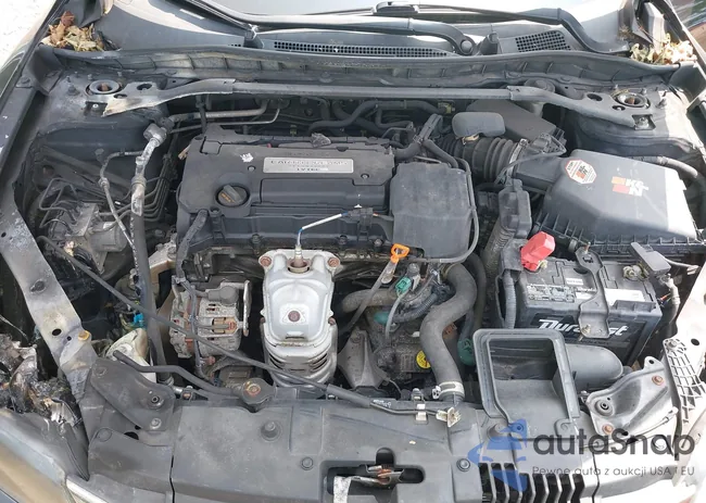 1HGCT1B79GA000511: 42360754