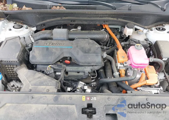 5NMS5DA1XPH002406: 42362370