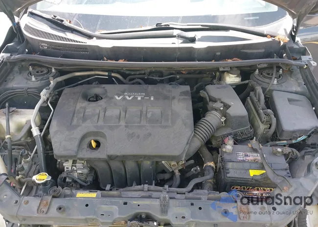 2T1KU40E49C076856: 42363280