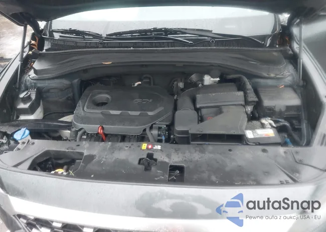 5NMS33AD2LH261654: 42362754