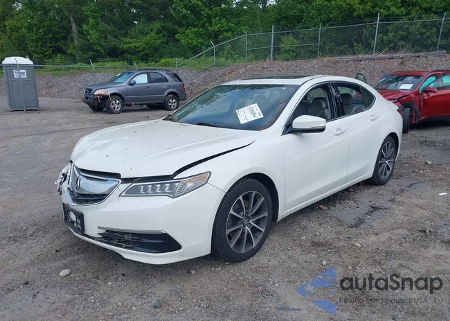 19UUB2F5XFA009352: 42362814