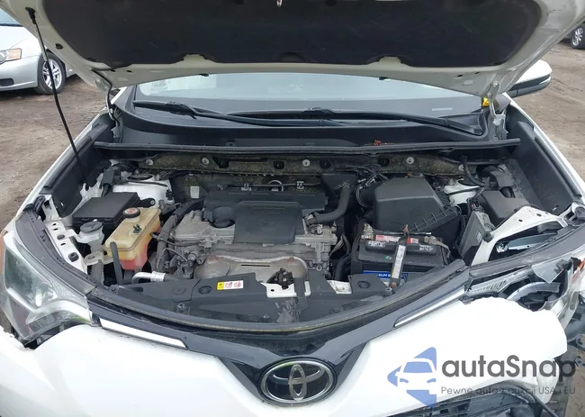 JTMRFREV4JD256036: 42364278