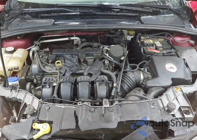 1FADP3N2XDL113618: 42364295